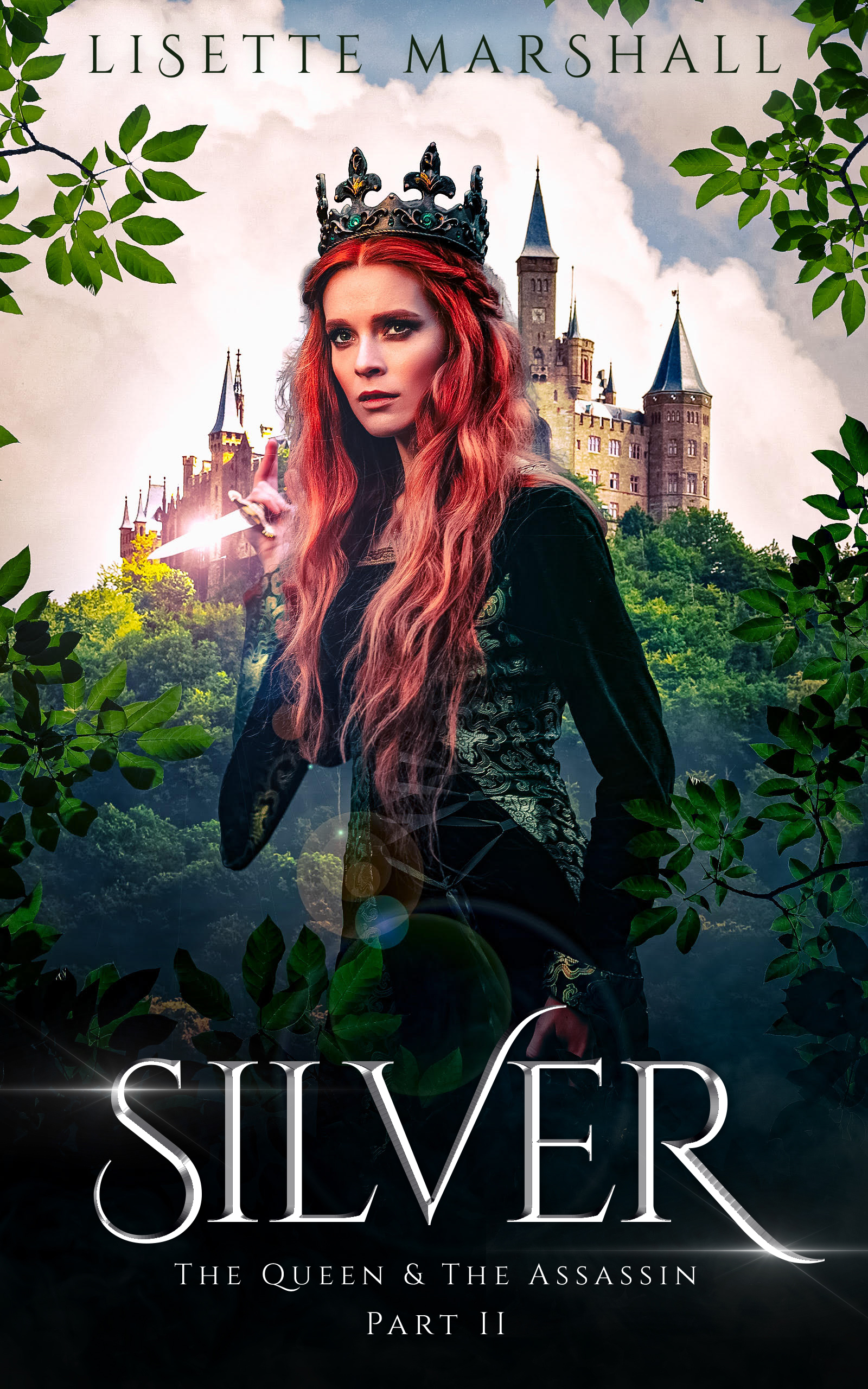 Silver cover